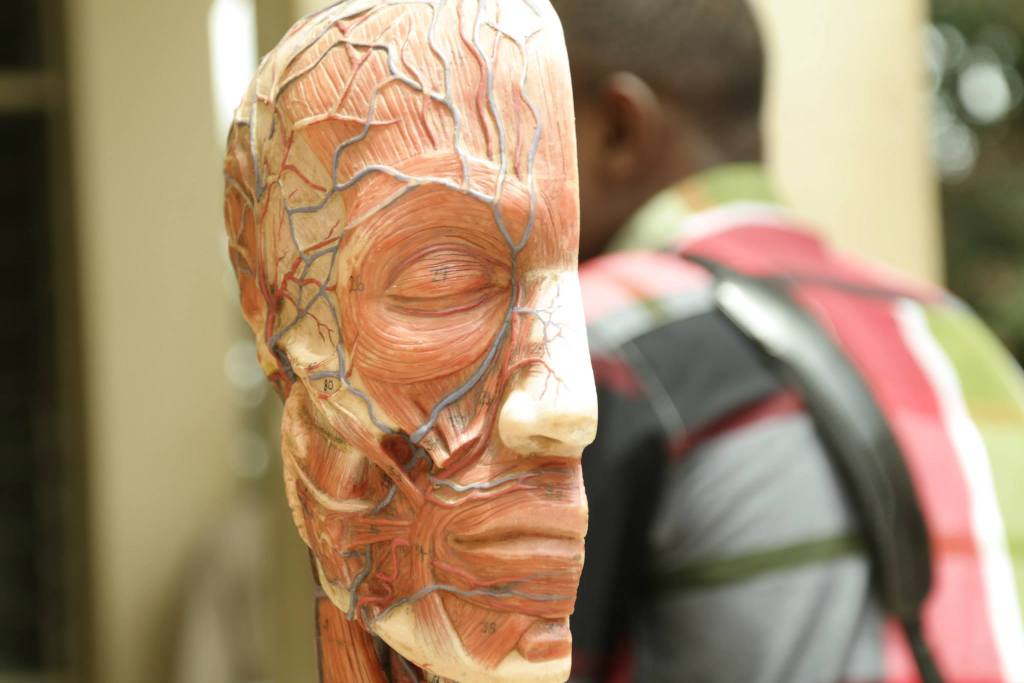 Neuroscience research in Ghana