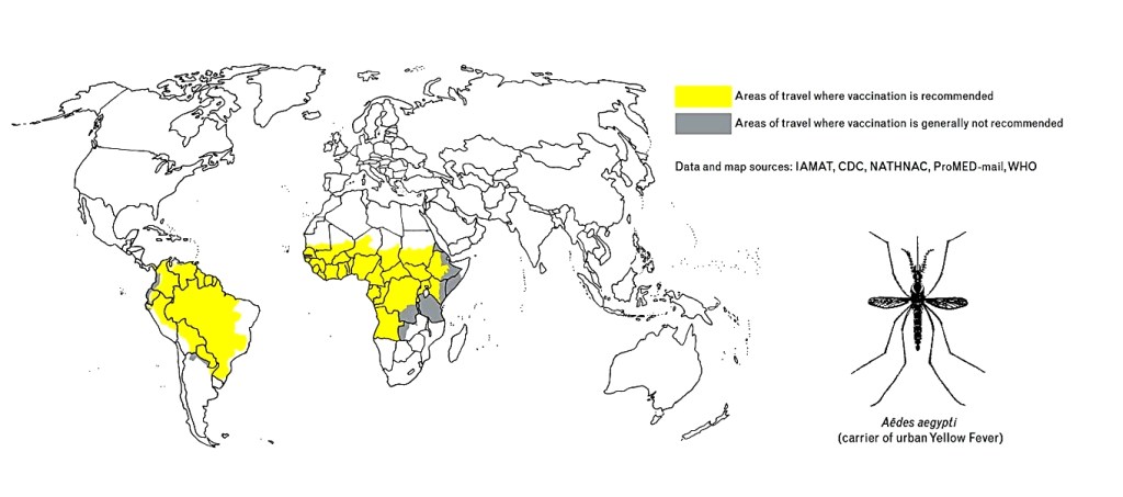 What is Yellow Fever? Promoting awareness in Ghana