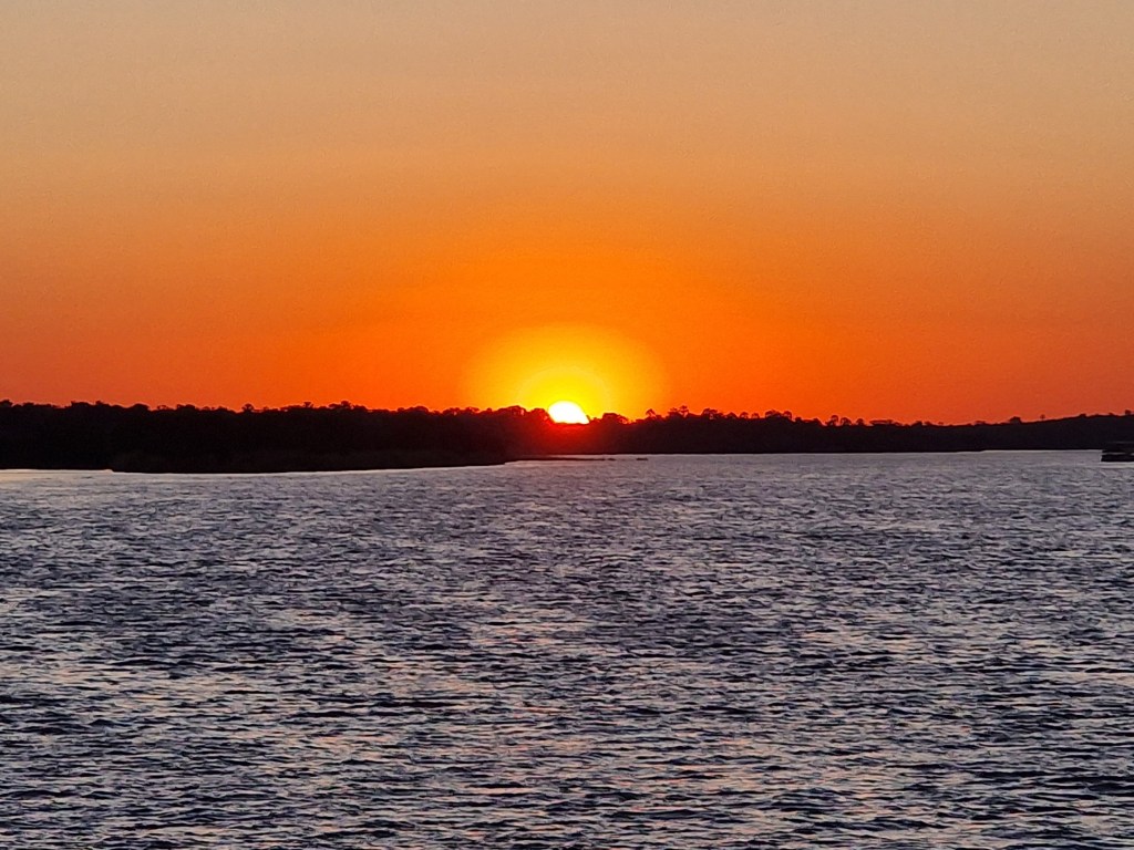 The African Forensic Science Vision: Reflections on the 4th Forensic DNA&nbsp;Symposium