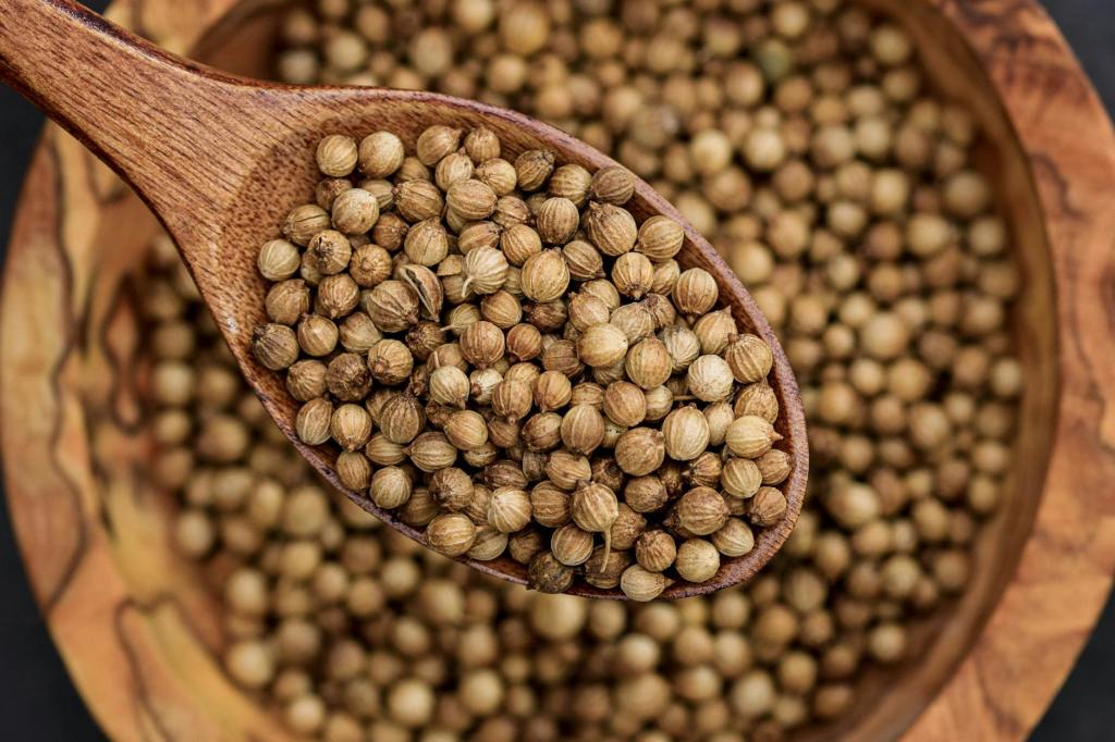 Coriander Seeds: Natural Antiviral Against&nbsp;RSV?