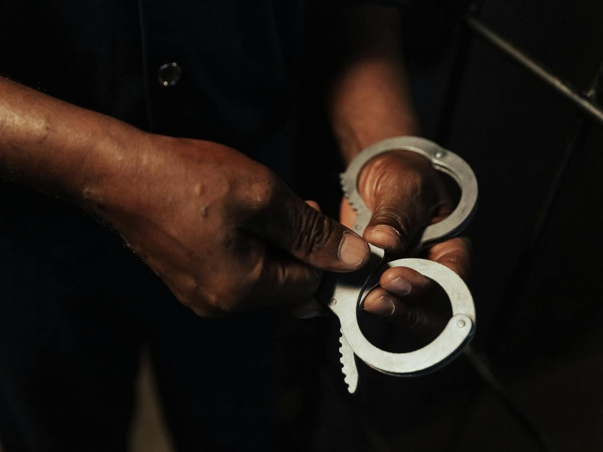 The Big Tree Murders: Chapter&nbsp;3