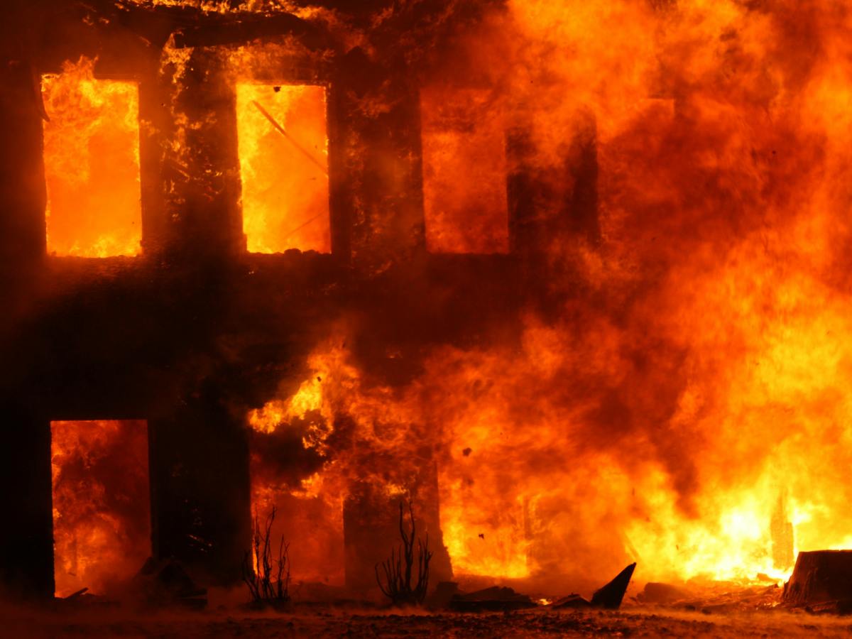 The Big Tree Murders: Chapter&nbsp;6