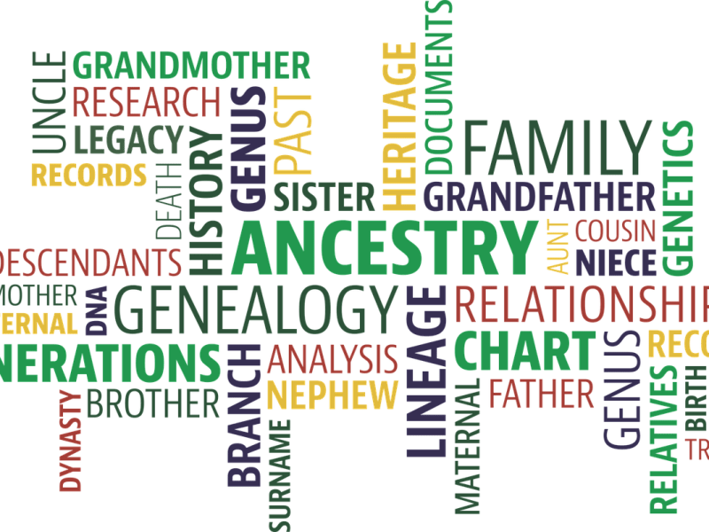 The Big Tree Murders: Chapter&nbsp;11