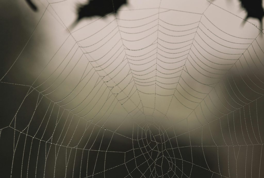 The Big Tree Murders: Chapter&nbsp;7