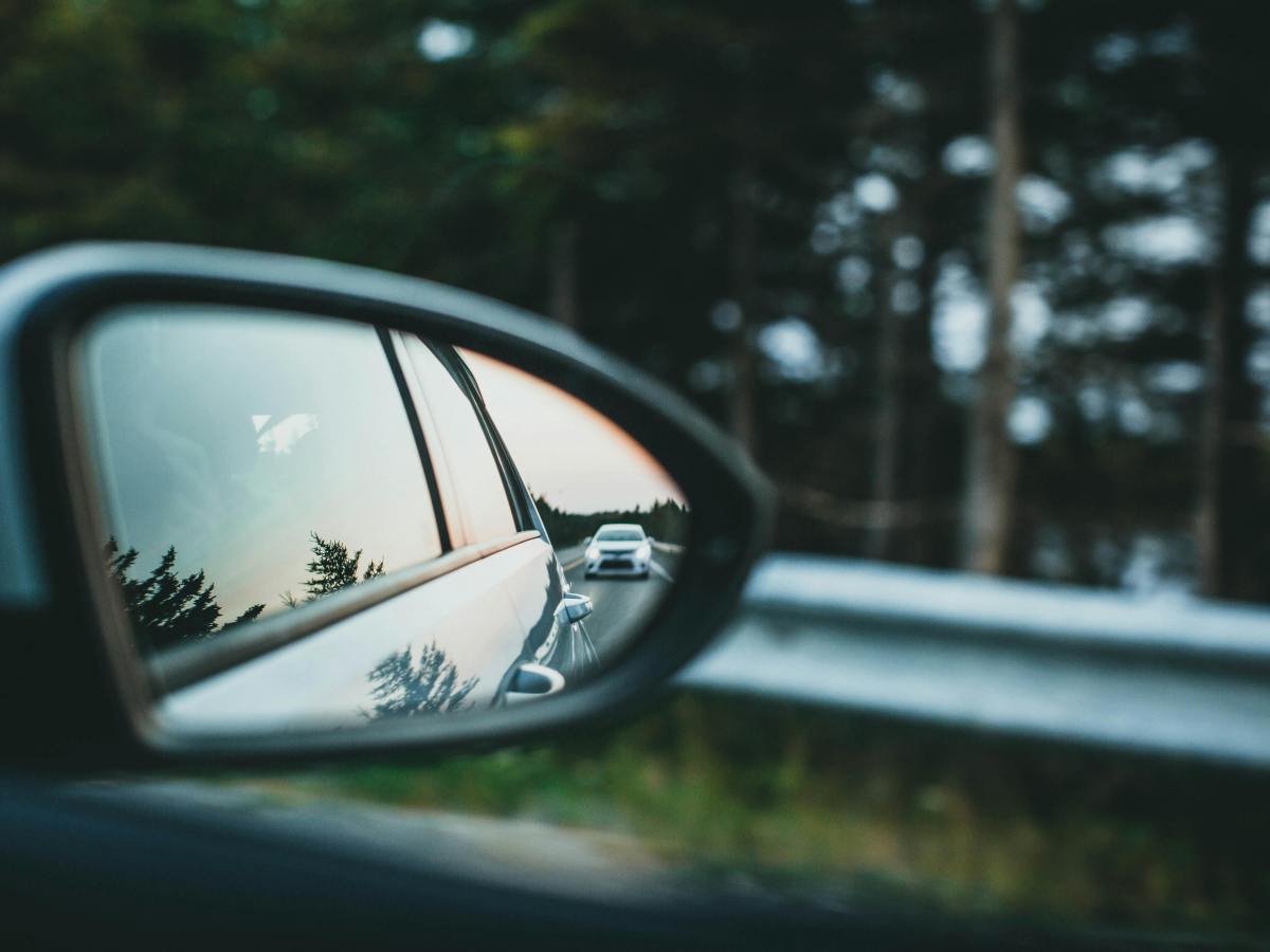 The Big Tree Murders: Chapter&nbsp;8