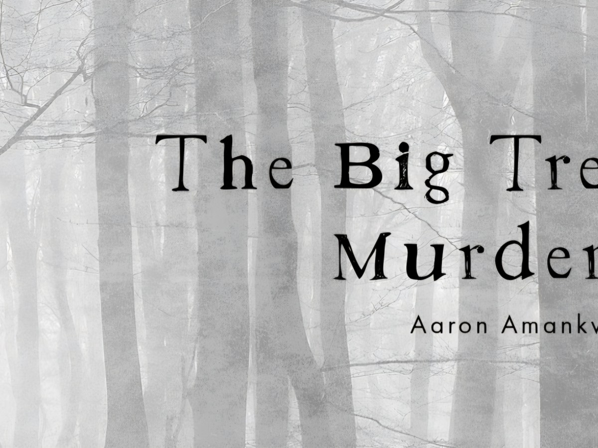 The Big Tree Murders: Chapter&nbsp;10