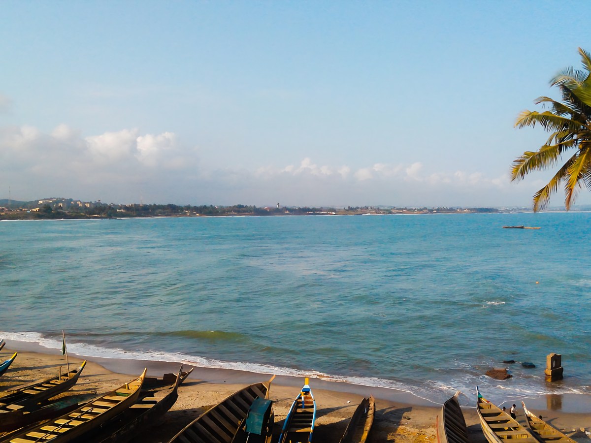 The Big Tree Murders: Chapter&nbsp;4