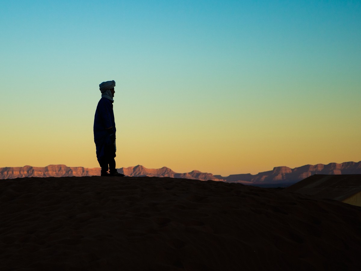 The Big Tree Murders: Chapter&nbsp;12